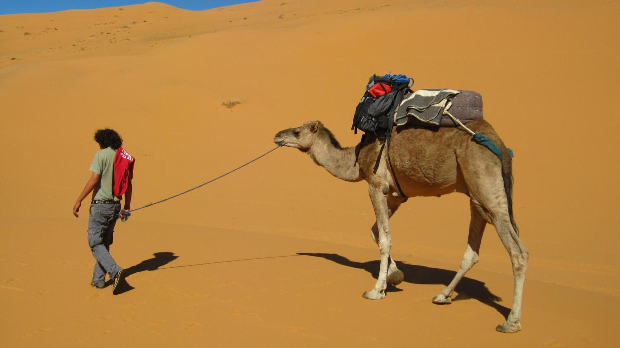Auberge Camping Ocean Des Dunes Merzouga Eksteriør bilde