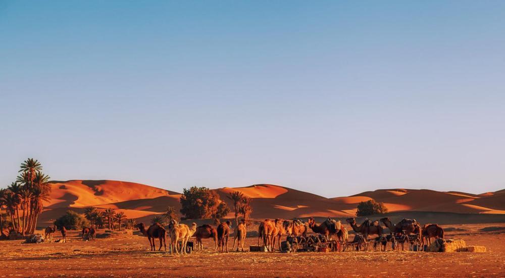Auberge Camping Ocean Des Dunes Merzouga Eksteriør bilde